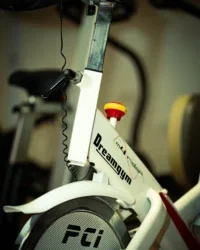 prueba de galería nueva